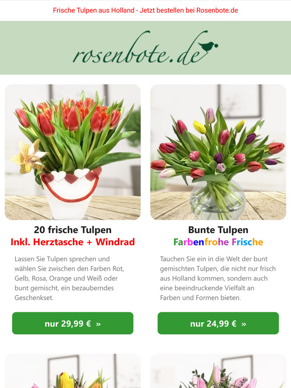 💐 Frische Tulpen aus Holland - Jetzt bestellen