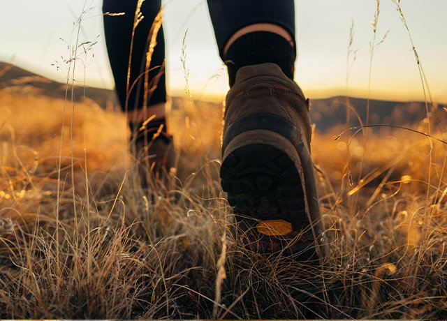 Q Sale Stiefel & Stiefeletten