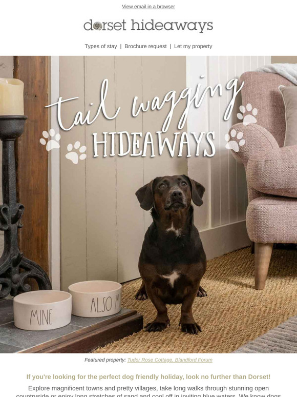 Your Perfect Dog Friendly Getaway Awaits! 🐾