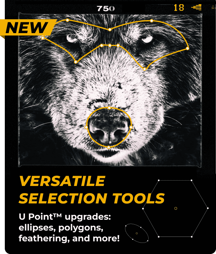 NEW - Versatile selection tools. U Point upgrades: ellipses, polygons, feathering, and more!