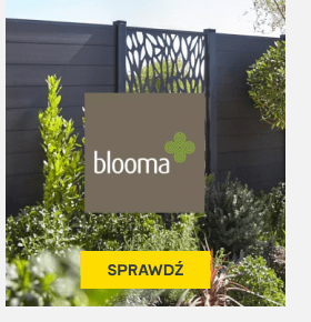 blooma