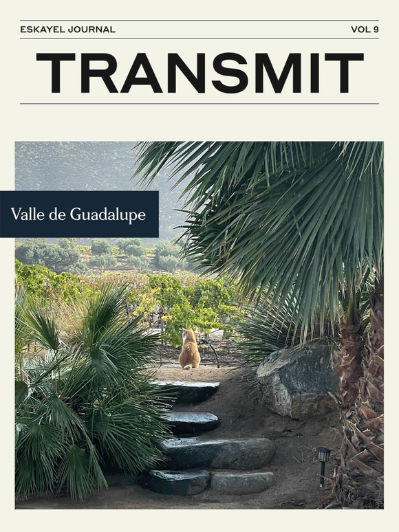 Valle de Guadalupe Weekend | Transmit Vol. 9
