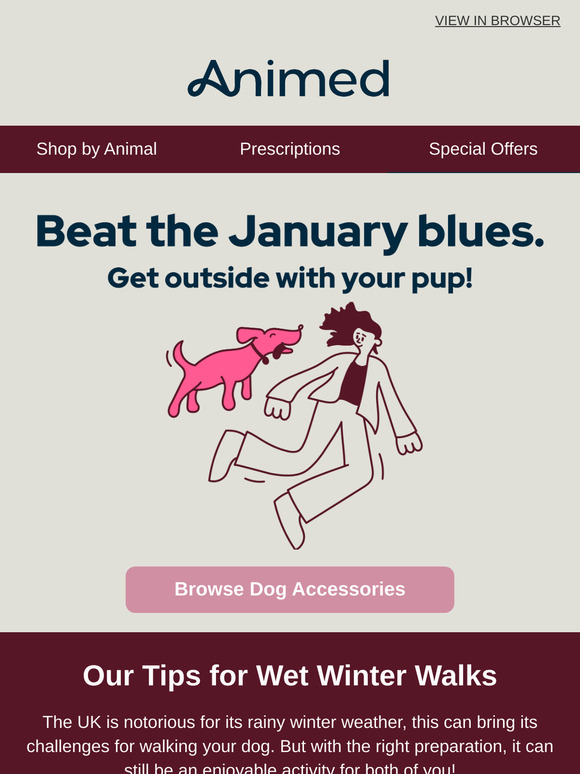 Winter Walking Tips 🐕