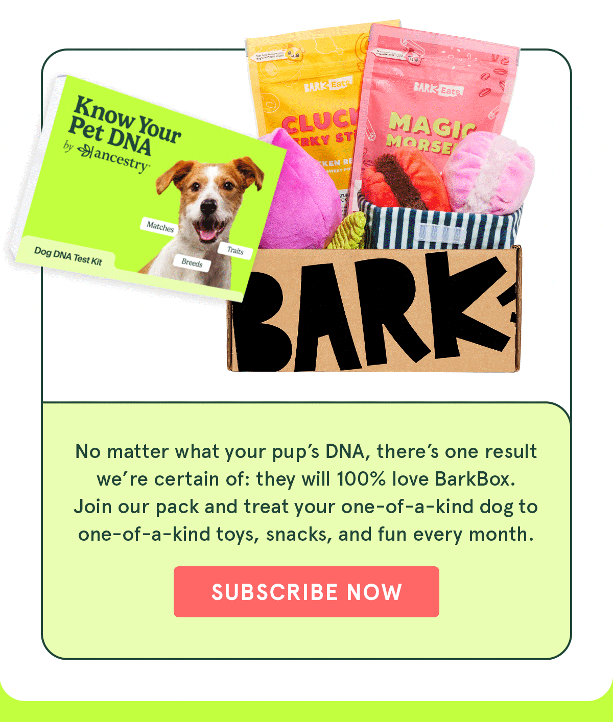 Join BarkBox!