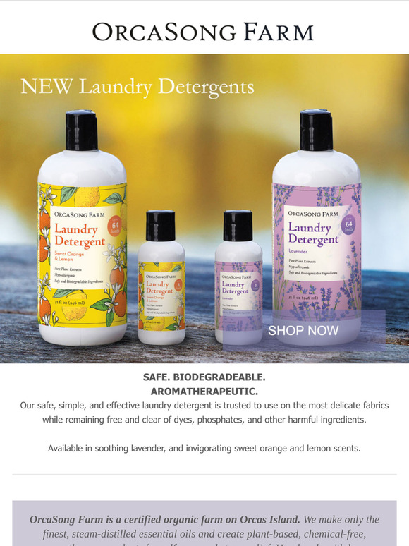NEW Laundry Detergents. Elevate your laundry ritual.