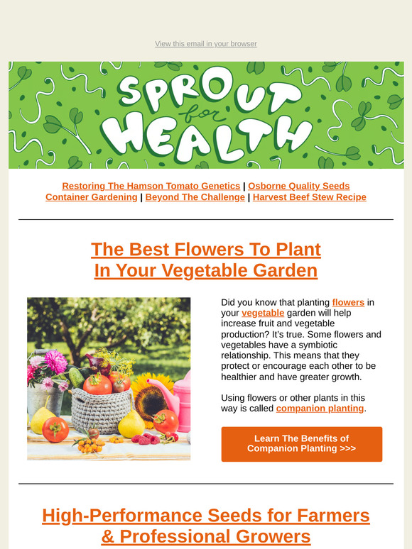 🌺 Companion Planting for More Veggies and Fewer Pests! | TLM Newsletter