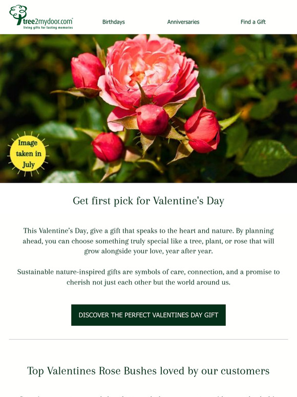 Because They Deserve the Best: Start Early This Valentine’s 💖✨