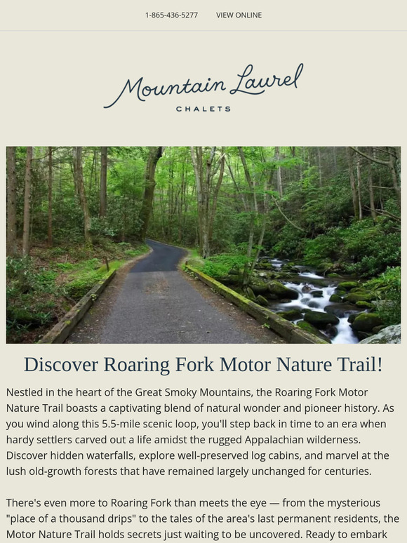 Roaring Fork Motor Nature Trail: A Journey Through Appalachian History
