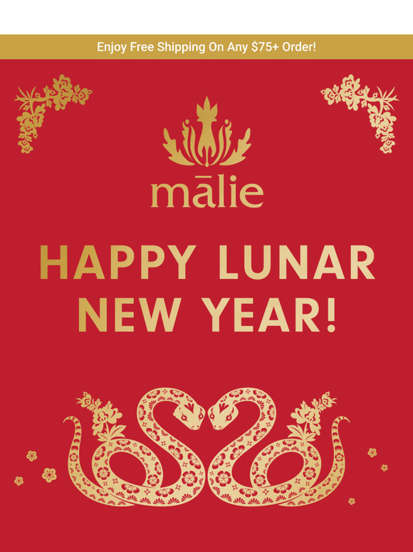Final Hours for Lunar Luck! 🧧