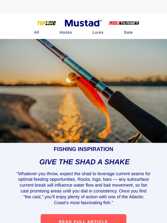 American Shad: The Fish That Shaped History—and Still Thrills Anglers
