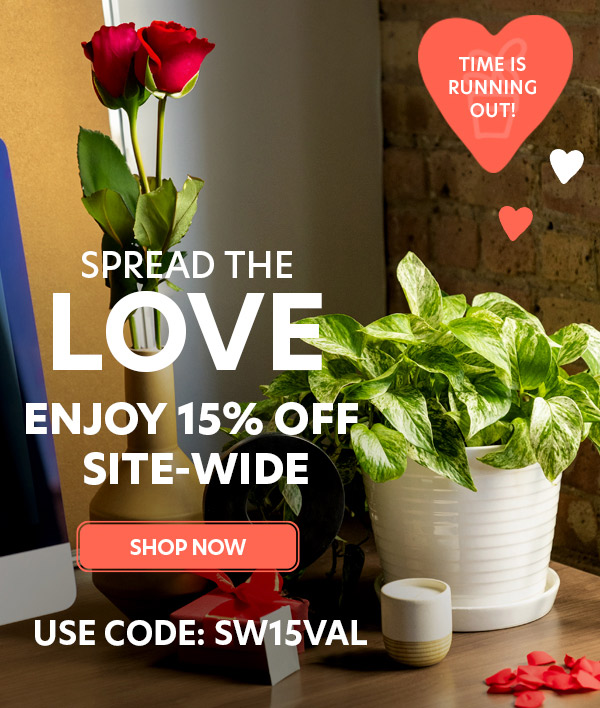 15% Off Site-Wide