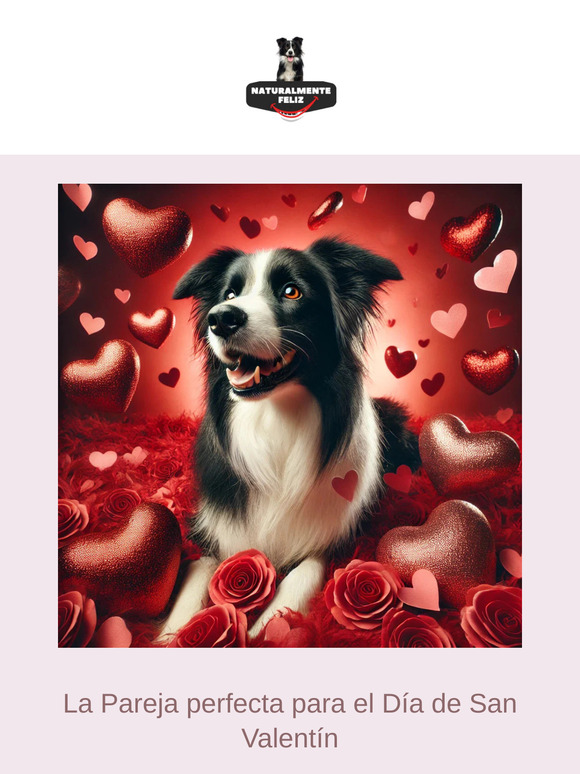 Especial San Valentín