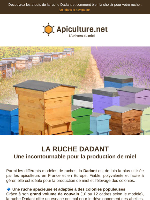 🔥 Nos meilleures ruches Dadant pour bien débuter la saison