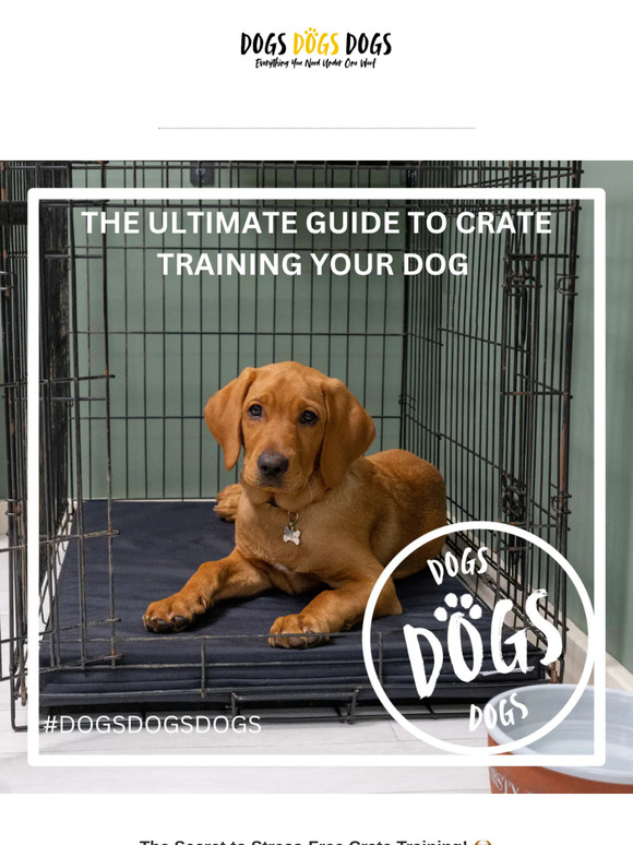 Crate Training Made Easy – Tips & Must-Haves! 🏡