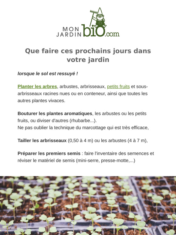 Préparez vos premiers semis avec nos semences bio et reproductibles 🌱