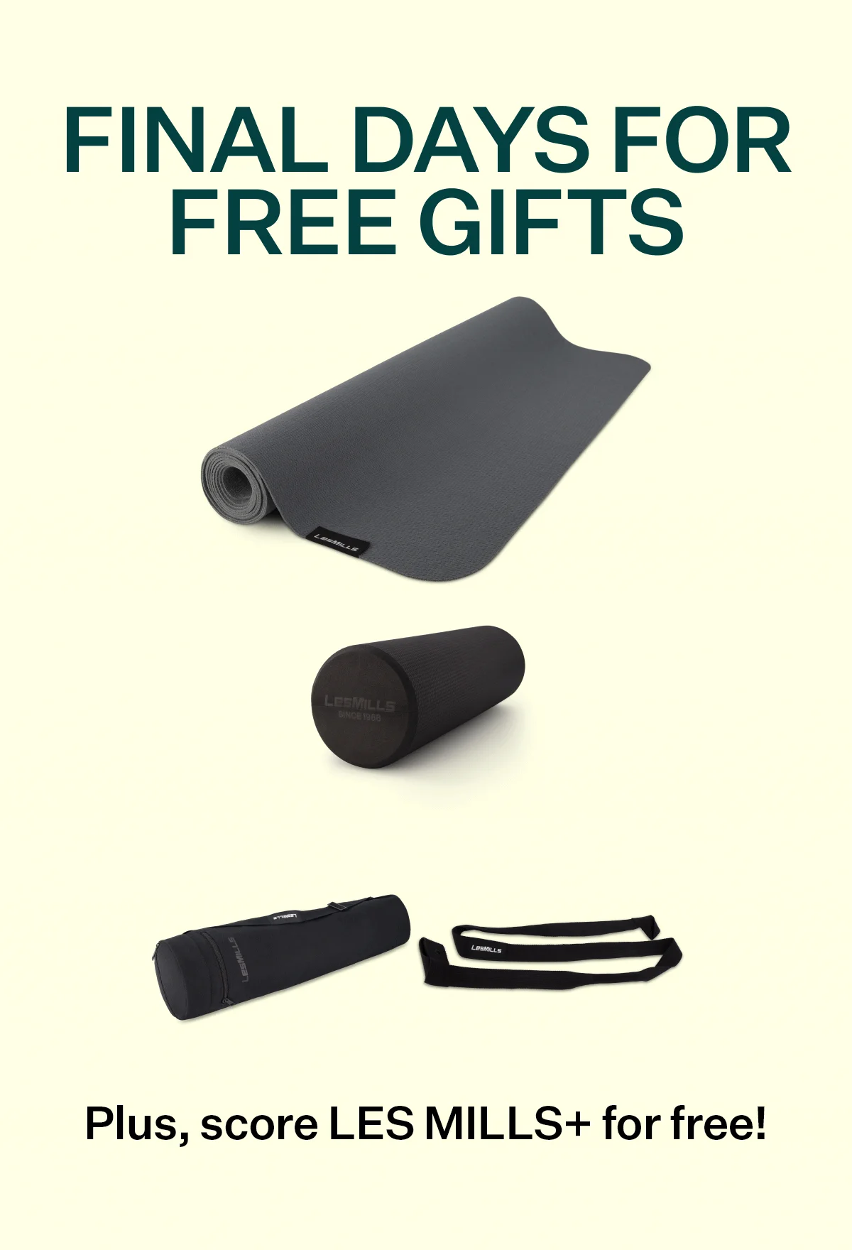 FREE SHIPPING ON ALL ORDERS