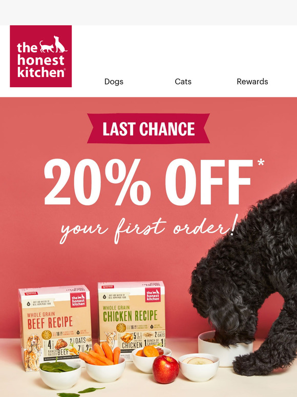 Last Day for 20% Off Your First Order! ⭐
