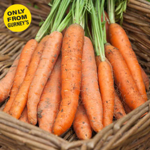 Crunch-A-Bunch™ Hybrid Carrot