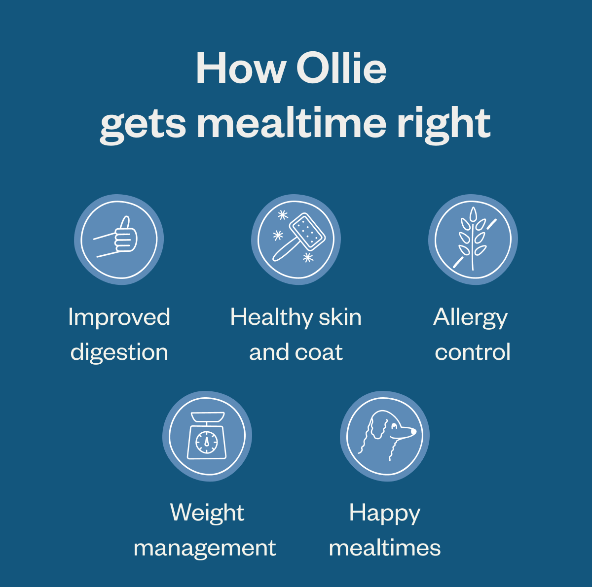 How Ollie gets mealtime right Improved digestion Healthy skin and coat Allergy control Weight management Happy mealtimes