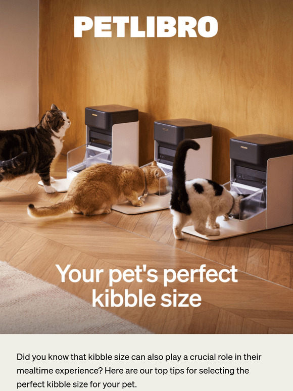 PetLibro: What kibble size should your cat be eating? 🐾 | Milled