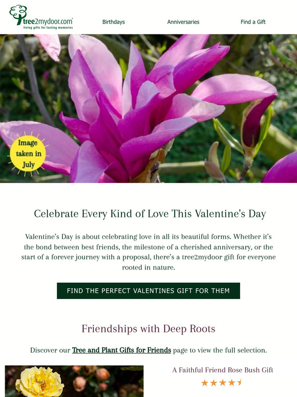 🌿 Welcome February - The Month of Love & Celebration! 💕