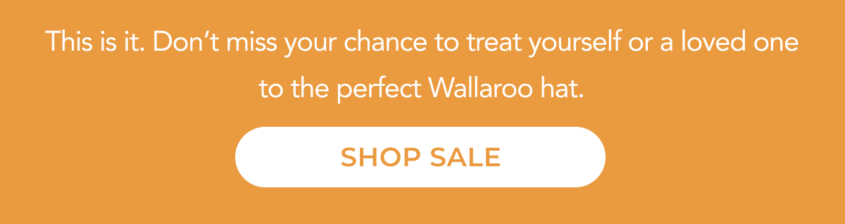 Shop Sale