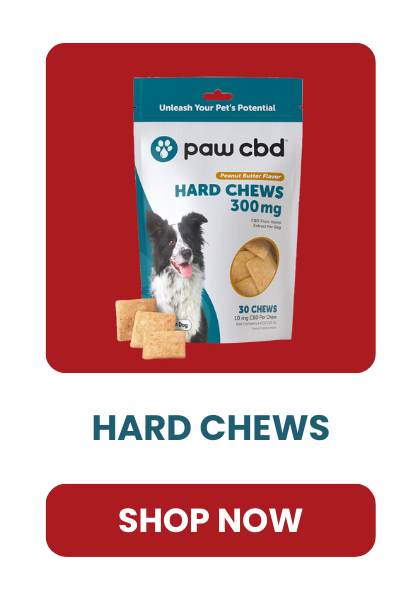 HARD CHEWS