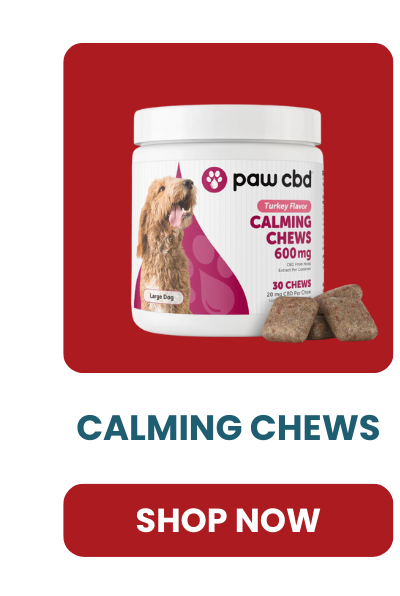CALMING CHEWS