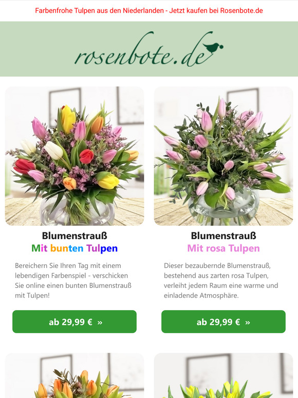 💐 Tulpen aus den Niederlanden, frisch und farbenfroh!