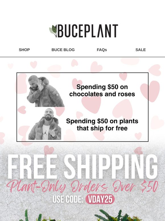 Free Plant Shipping is Back Babyyy 💗🌱
