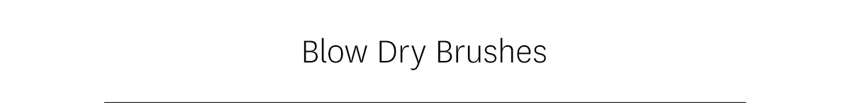 blow dry brushes