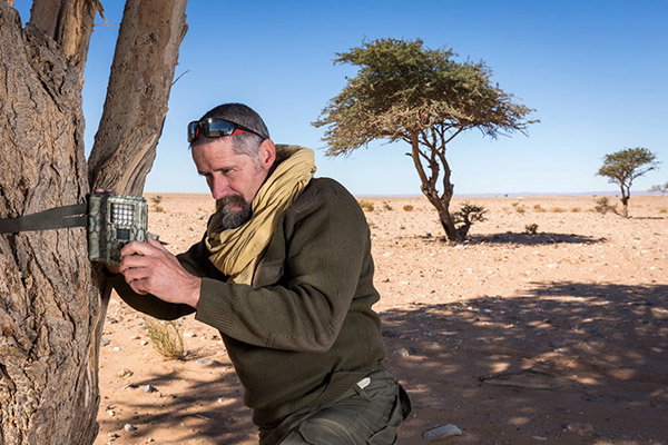 Jose María Gil-Sánchez kneeling down in the sand to inspect a camera trap which is attached to a tree in the Sahara desert.