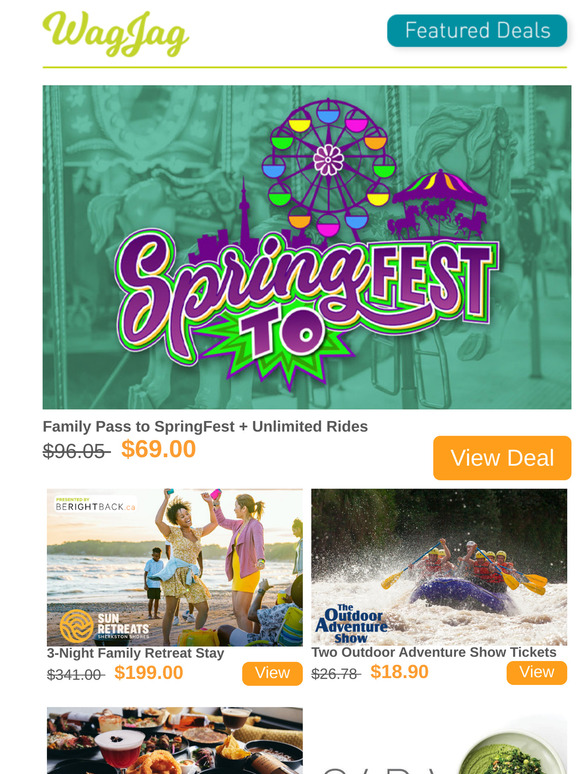$69 Family Pass to SpringFest