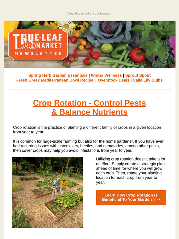 Crop Rotation Made Easy: A Simple Strategy for Stronger Plants! 🌿 | TLM Newsletter