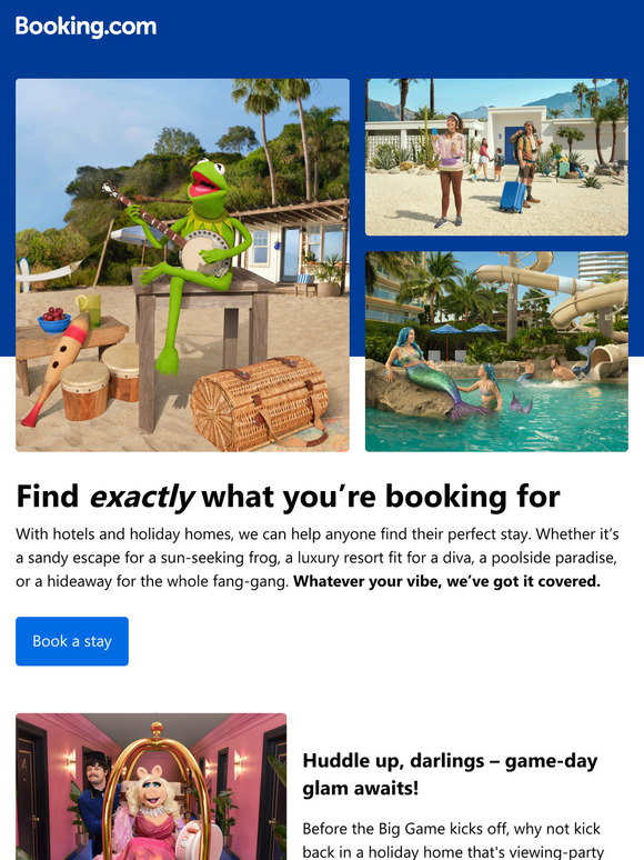 🐸🐷 Find exactly what you’re booking for 🧜‍♀️🧛
