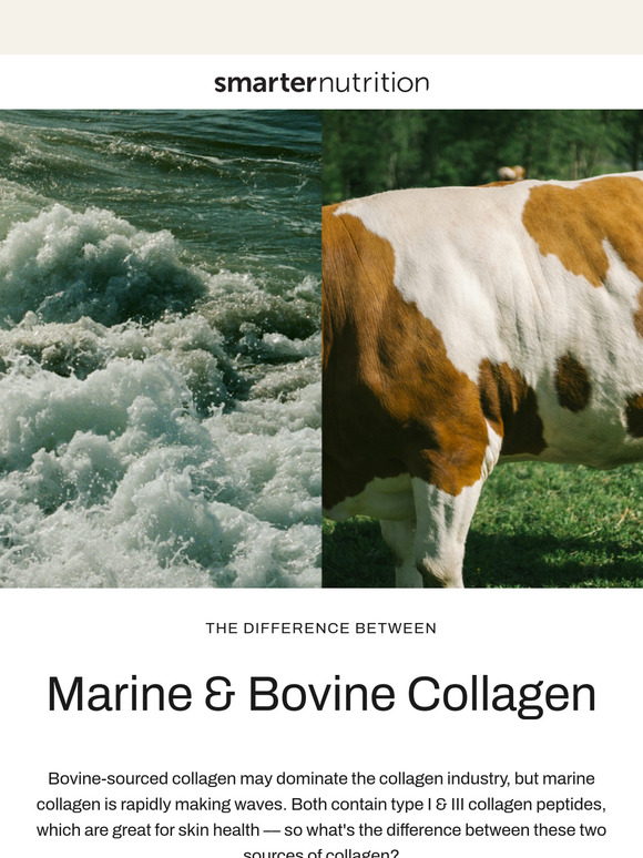 Marine Collagen vs. Bovine Collagen