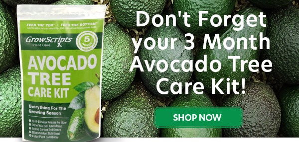Avocado Care Kit