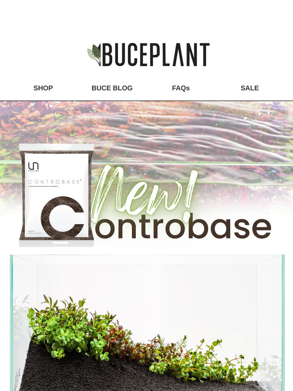 NEW 🌿 Controbase for Non-Stop Plant Growth