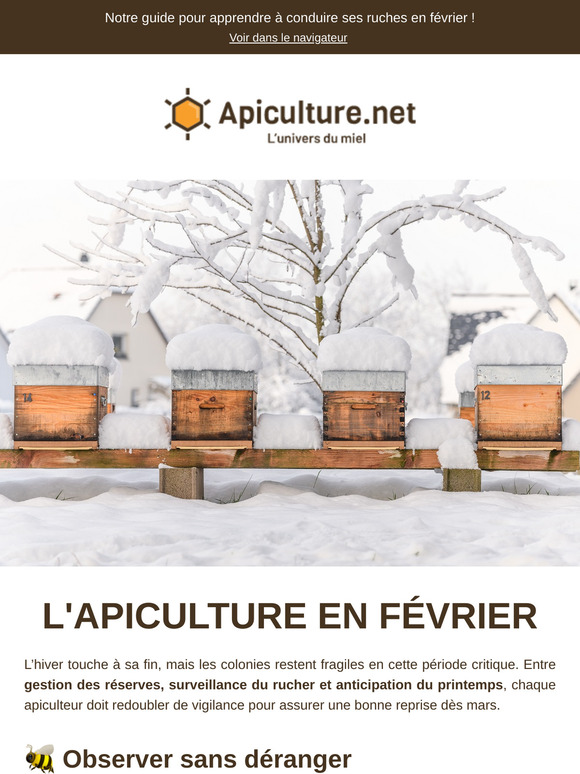 🐝 Apiculture en février : ce qu’il faut faire avant la reprise printanière
