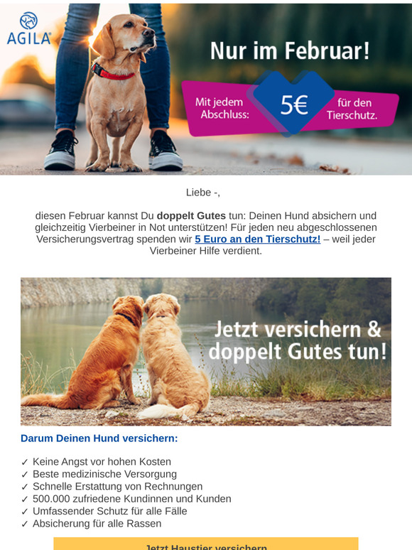 ➜ Hund versichern und doppelt Gutes tun ♥️