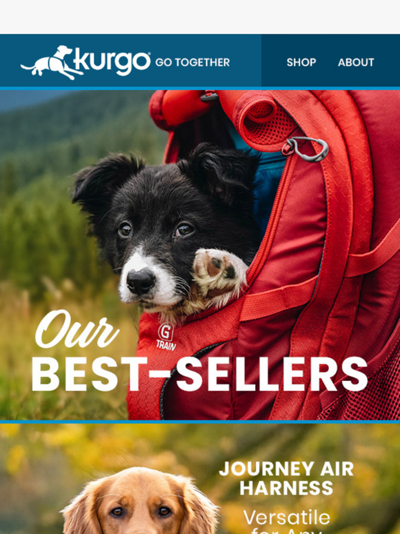 Our Best-Selling Gear