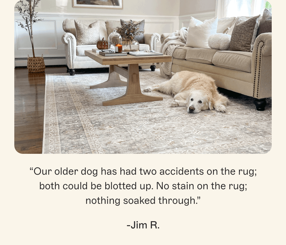 “Our older dog has had two accidents on the rug; both could be blotted up. No stain on the rug; nothing soaked through.” -Jim R. 