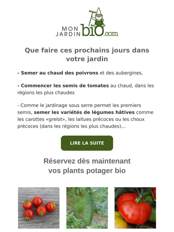 🚀 Précommande ouverte pour nos plants potager - nos conseils jardin de la semaine