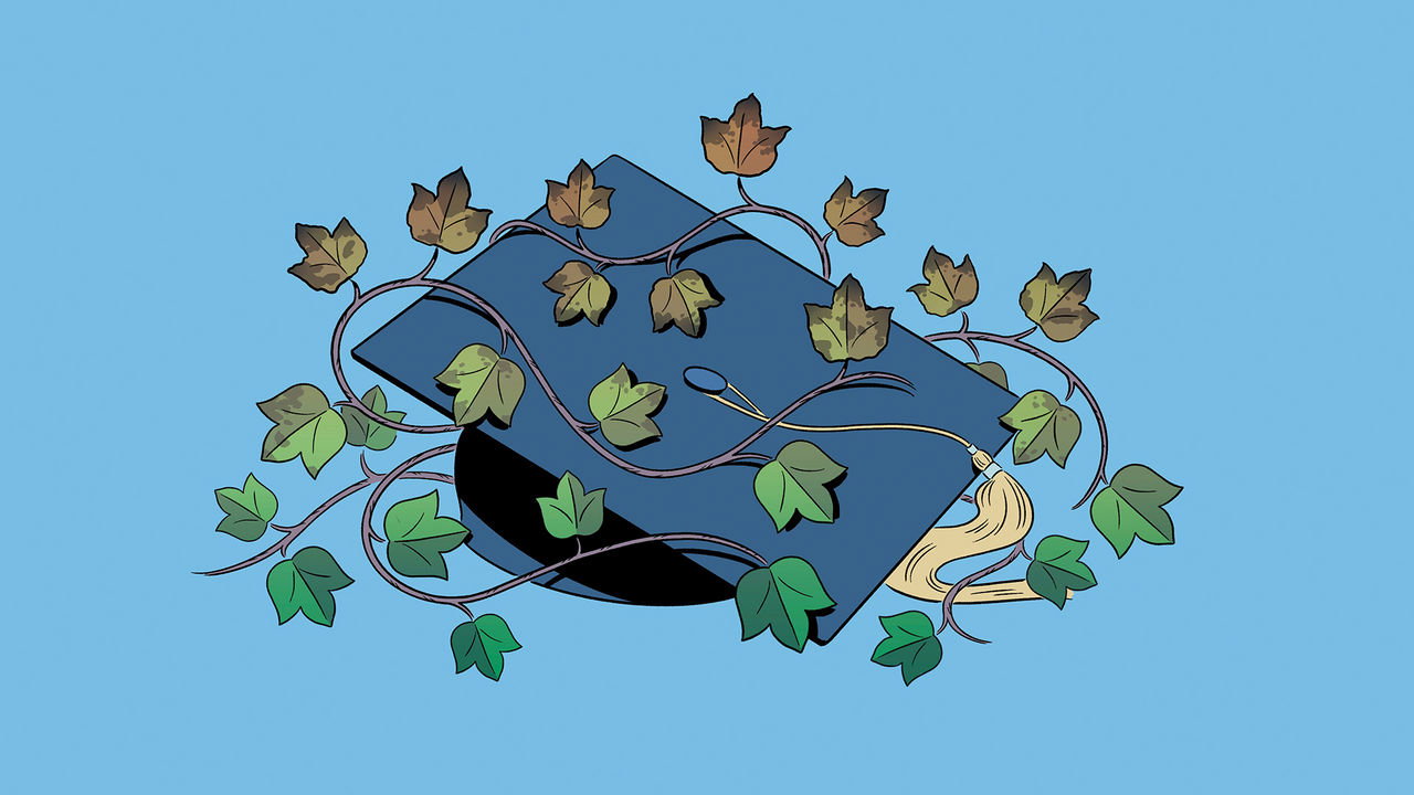 An illustration of a mortarboard with ivy growing over it that is half withered and brown.