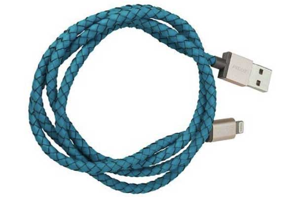 Lightning to USB Cable 