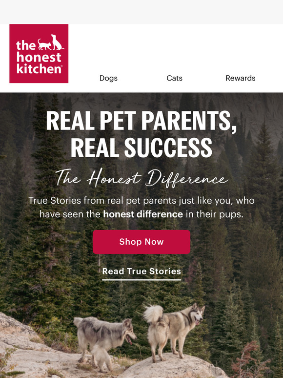 Happier and Healthier Pets 🐾