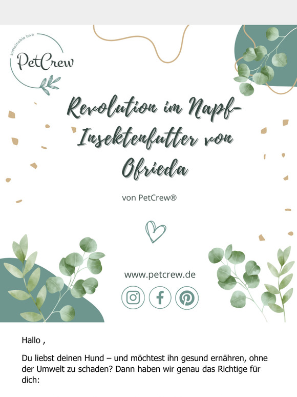 , das ist die Revolution im Napf: Nachhaltiges Insektenfutter von Ofrieda 🤩
