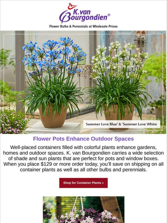 K. Van Bourgondien & Sons Enhance your landscape design! Milled