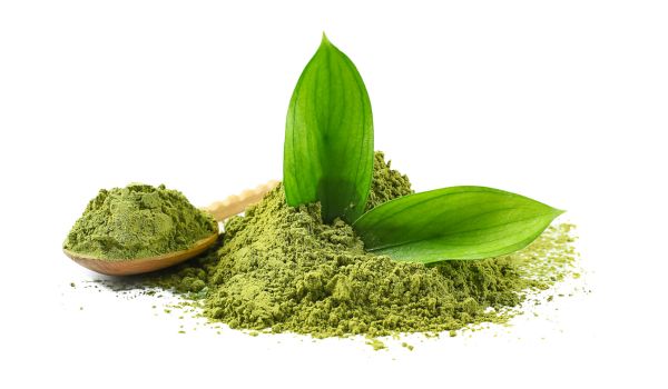 Thé vert