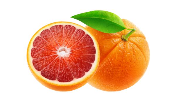 Oranges sanguines Morosil
